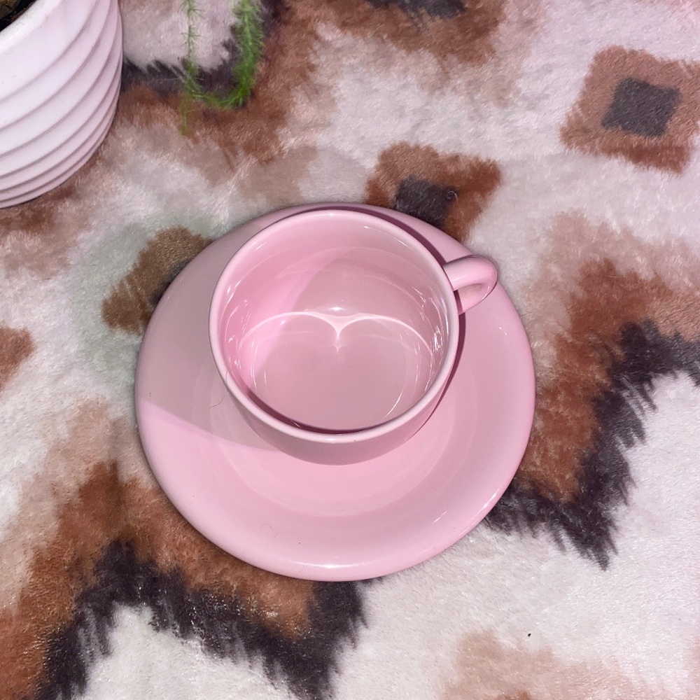 Newcor Japanese Stoneware Tea cup set